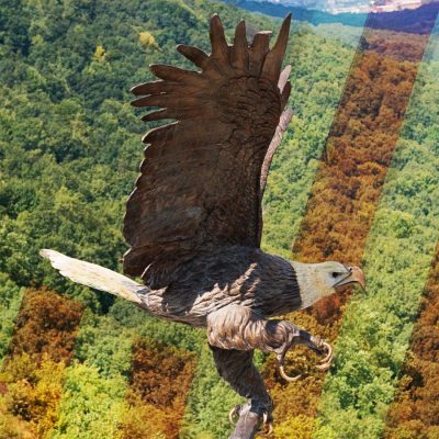 Huge open wings flying large outdoor eagle statue DZE-005