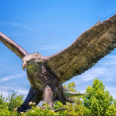 Large flying wild bird animal sculpture bronze eagle statue for decor DZE-024