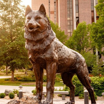 bronze Huskie statue