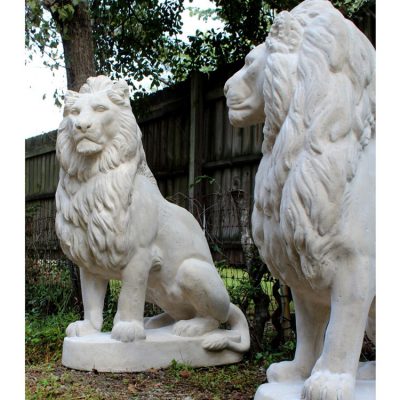 Luxury outdoor life size polished marble garden lions sculptures DZL-D489