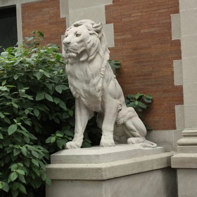 Chinese factory professional engrave best white marble outdoor stone lion statue DZL-D517