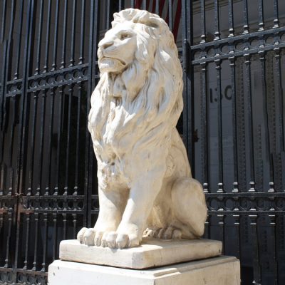 Garden hand carved factory wholesale marble lion statues india DZL-D555