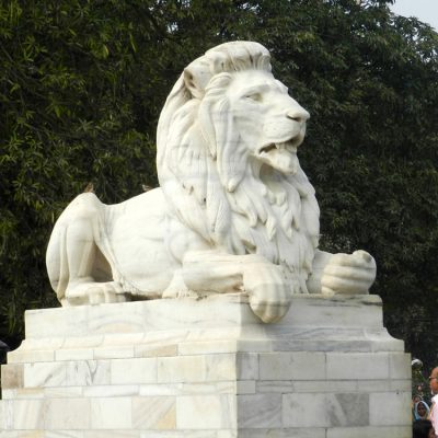 Natural white marble carved art modern outdoor decor lion sculpture for sale DZL-D538