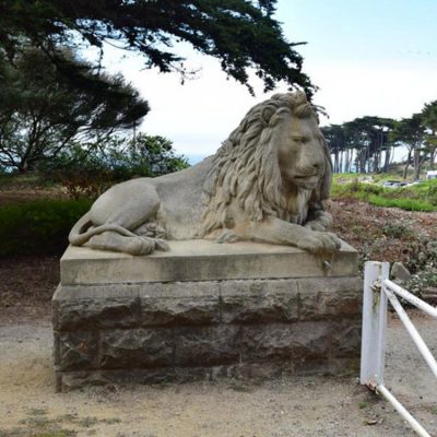 Old feeling life size custom best quality natural marble lion statues in front of house DZL-D528