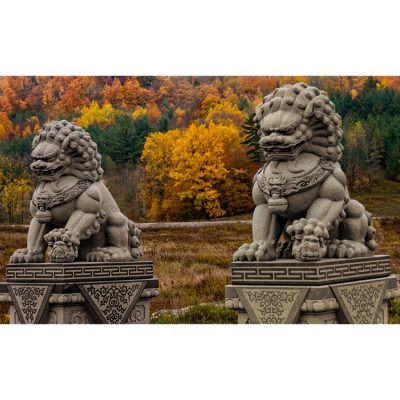 Popular outdoor entrance design natural marble engraved chinese lion sculpture DZL-D542