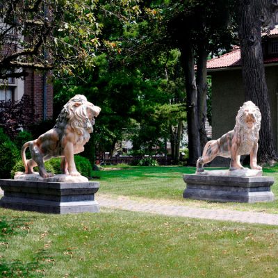 Street outdoor decoration manufacturer carved popular marble the lion and the statue DZL-D530