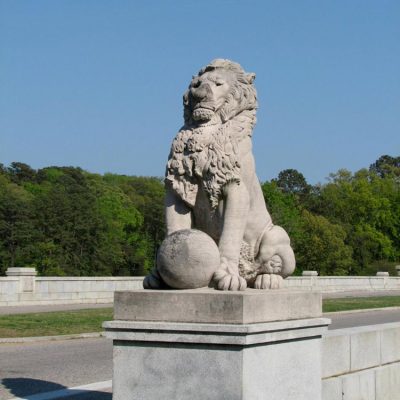 Zoo garden white marble hand carved life size lion outdoor decor DZL-D516