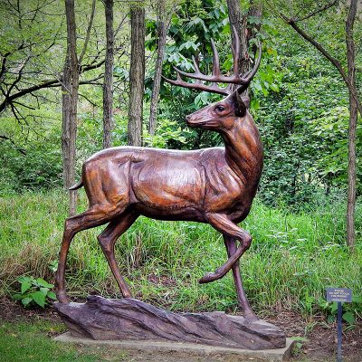 Forest animal decor life size bronze casting reindeer statue for garden DZD-D618