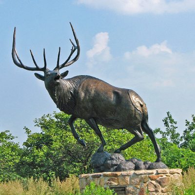 Large garden decor chinese manufacturer produce high quality bronze deer sculpture DZD-D620