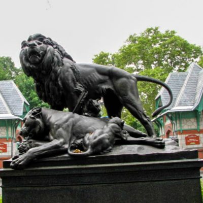 Popular design factory wholesale garden casting bronze lion sculpture DZL-D581