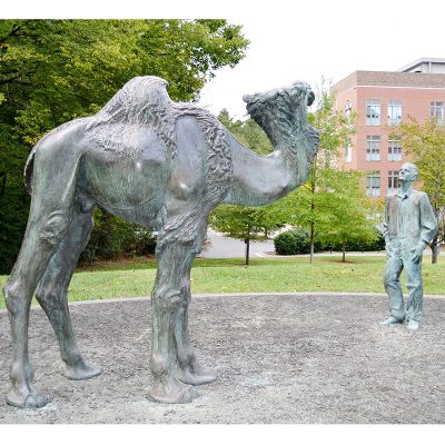 Modern interesting artwork high quality duke university camel statue DZD-D644